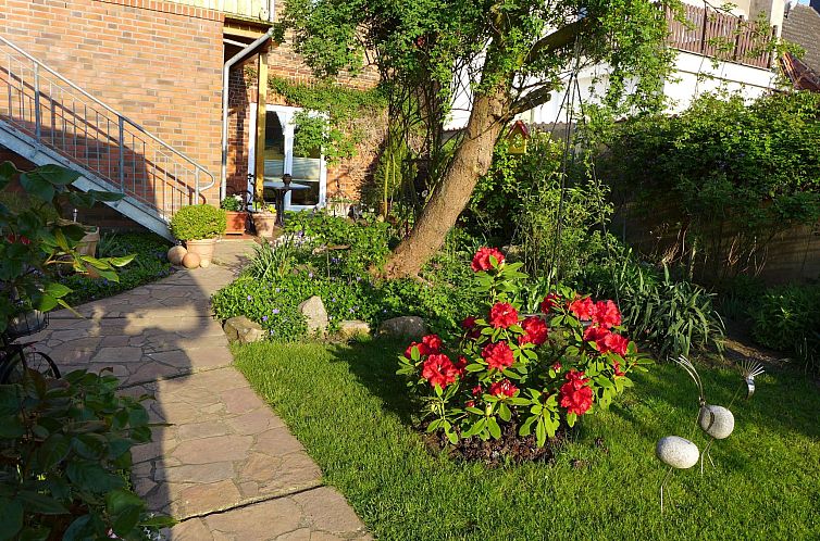 Appartement Charmante Wohnung in Dassow mit Terrasse und Gri