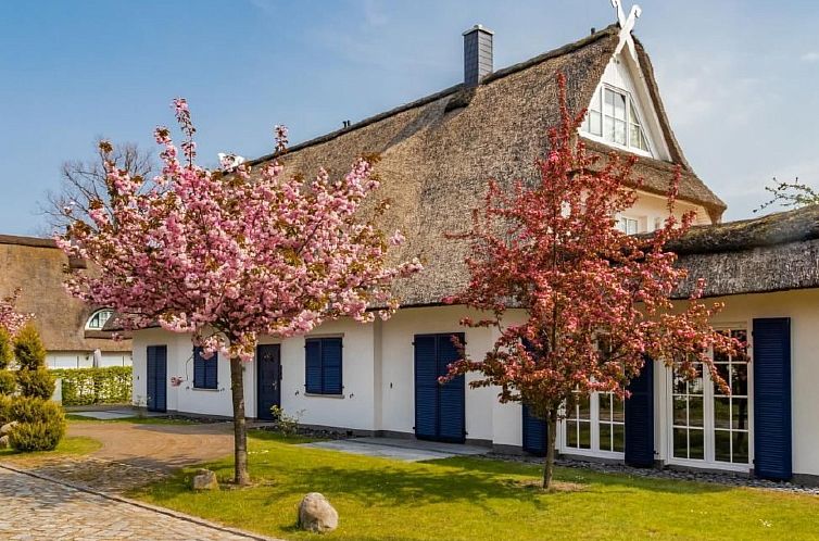 Unterkunft 03010406 - Ferienhaus Ostsee - Vakantiehuis in Groß Schwansee mit Offenem Kamin