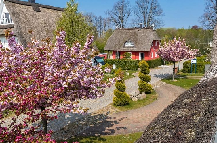 Vakantiehuis Villa DUXCAAR