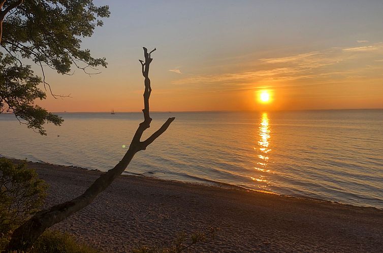 Vakantiehuis 5* Wellness Oase