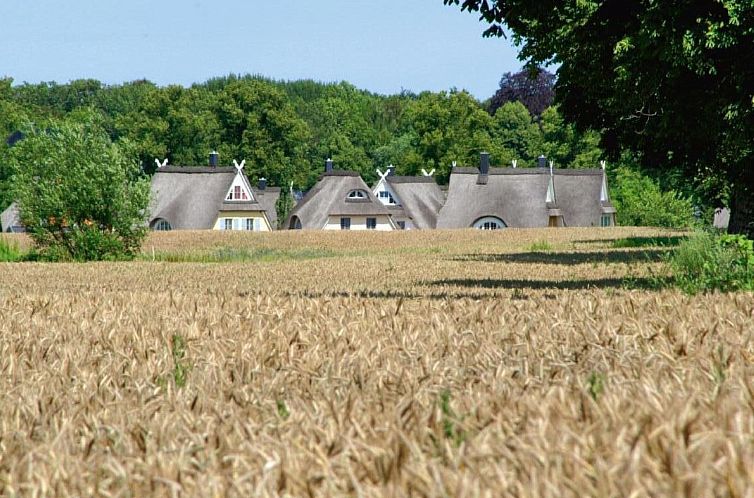 Vakantiehuis 5* Wellness Oase