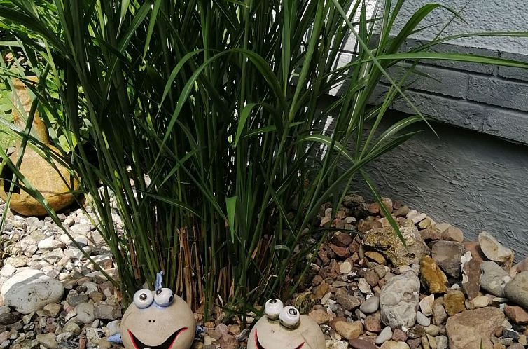 Vakantiehuis Ferienbungalow auf Gartengrundstück