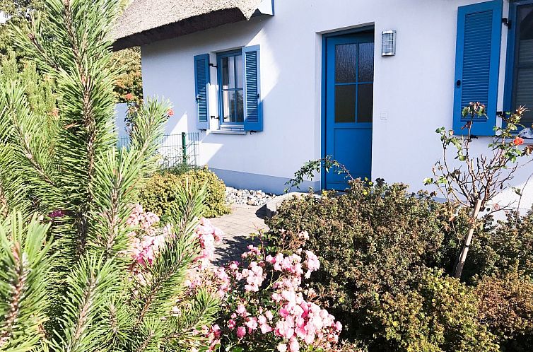 Vakantiehuis Reethaus Meeresbrise