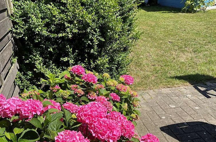 Vakantiehuis Haus am Meer