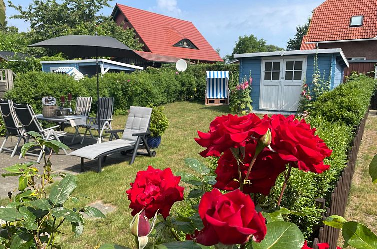 Vakantiehuis Haus am Meer 3