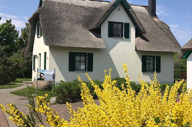 Vakantiehuis Reethaus Vera am Meer mit Sauna und Kamin