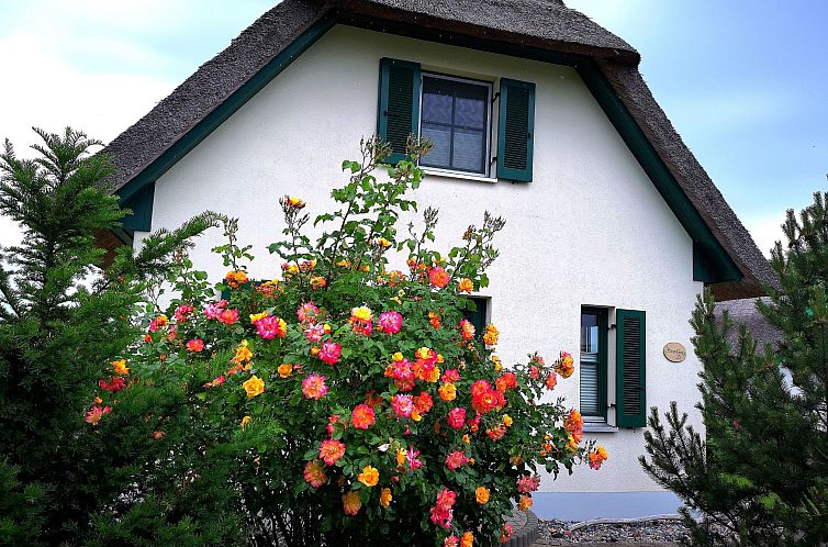 Vakantiehuis Reethaus Vera am Meer mit Sauna und Kamin