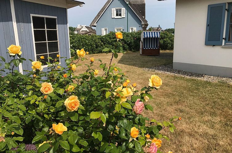 Vakantiehuis Kliff Königshörn