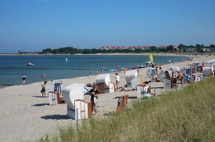 Vakantiehuis Komfort Ferienhaus mit Sauna und Kamin, auf gro