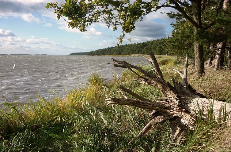 Vakantiehuis Komfort Ferienhaus mit Sauna und Kamin, auf gro