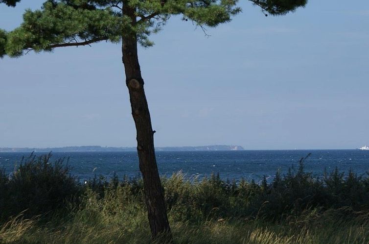 Vakantiehuis Reet-Hus Hanbutt in Glowe