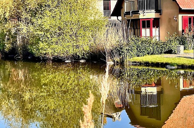 Guest house 03011669 - Apartment Baltic Sea - Appartement Strandvilla Meeresstern