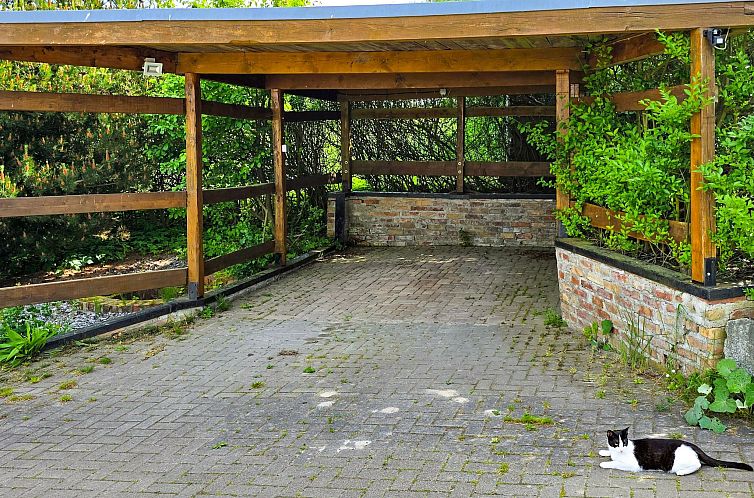 Appartement Rügen - Promoisel - Auszeit am Kreidesee, zwisc