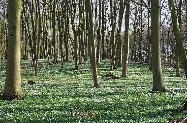 Appartement Ferienwohnung