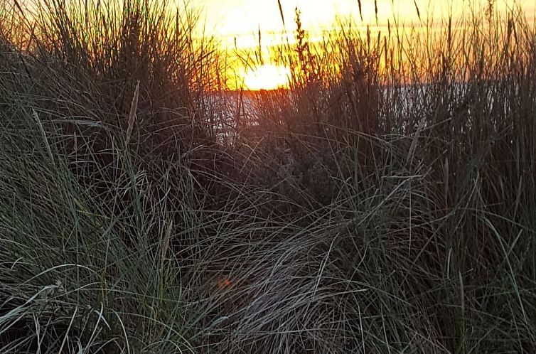 Appartement Fewo Waldblick EG