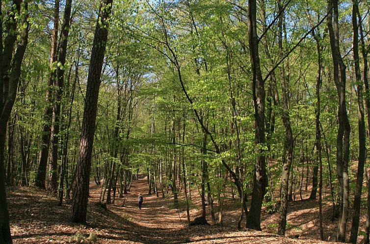 Appartement Fewo Waldblick EG