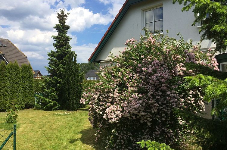 Unterkunft 03013516 - Appartement Ostsee - Appartement  in Trassenheide