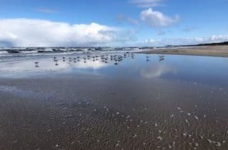 Appartement fast direkt am Strand