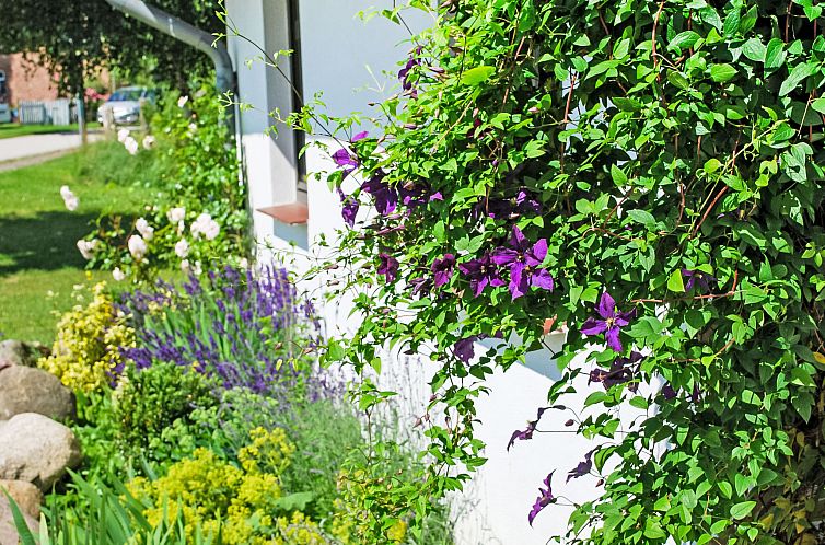 Appartement Dänholm