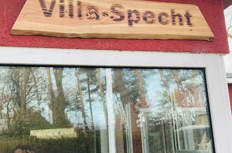 Vakantiehuis Villa Specht- Ferienbungalow