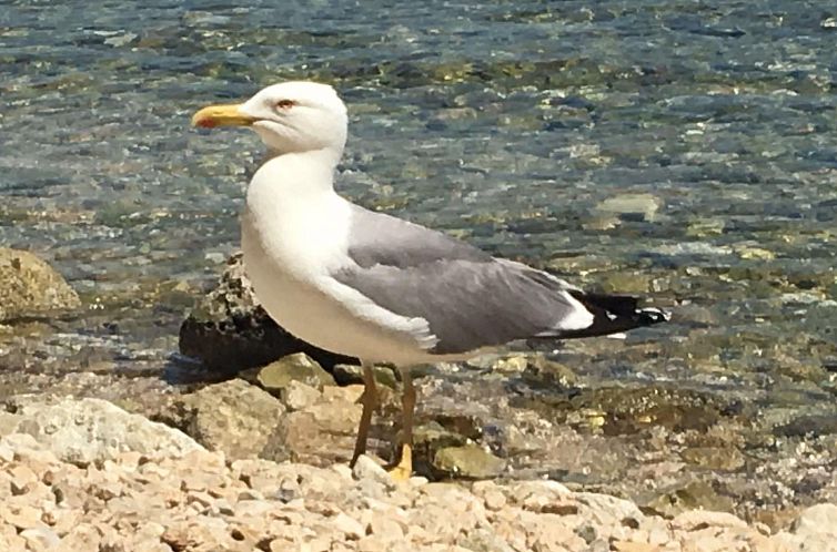 Appartement Appartement in Wismar mit Terrasse und Garten