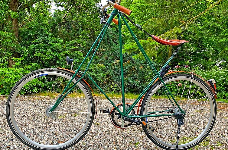 Vakantiehuis Ein echtes Minihaus auf Rädern - perfekt für 