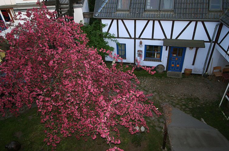 Unterkunft 03016902 - Appartement Ostsee - Appartement Wippsteert