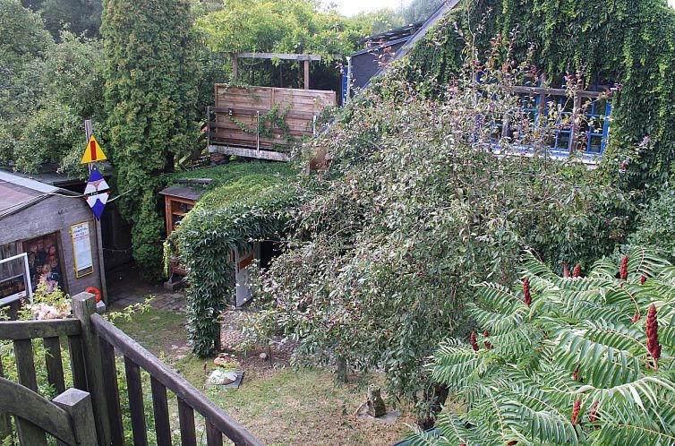 Unterkunft 03016905 - Appartement Ostsee - Appartement Daddeldu