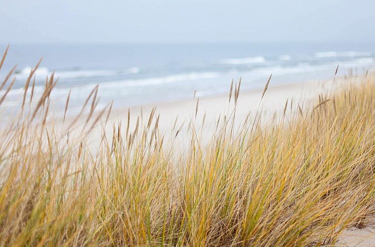 Appartement Appartement in Zinnowitz mit Grill