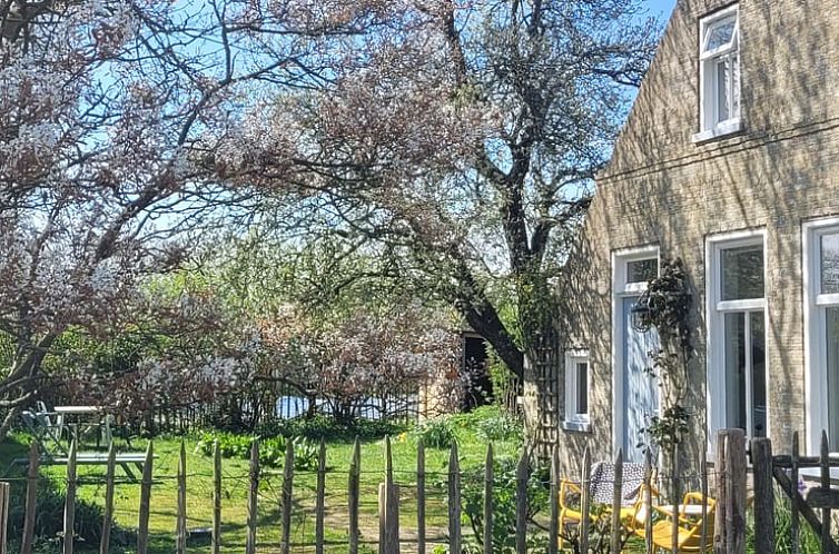 Cozy garden at Holiday Home in Formerum Terschelling on the Wadden Islands with flowering trees and seating area.