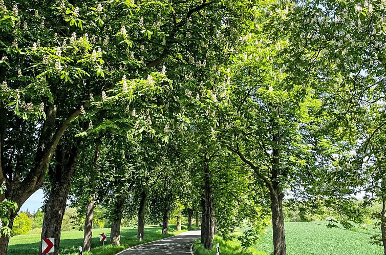 Vakantiehuis Eschengrund
