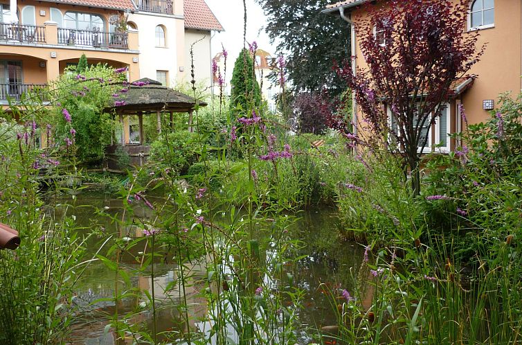 Appartement Wohnung Laguna-Residenz in Ostseebad Kühlungsbo