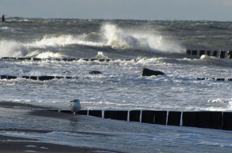 Appartement "Kalle"