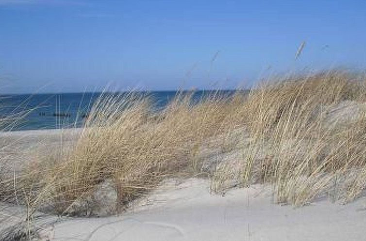 Guest house 0302305 - Apartment Baltic Sea - Appartement 1 Raum Graal-Müritz