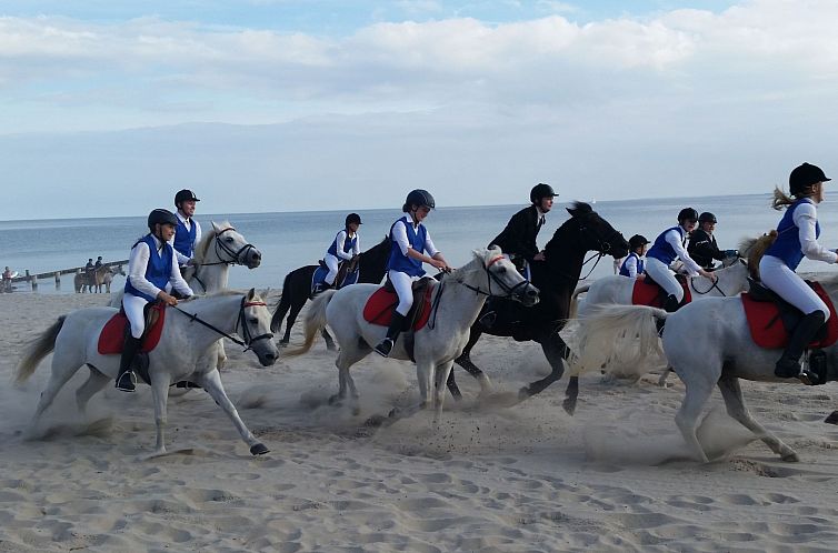 Appartement Appartement in Kellenhusen mit Großer Terrasse