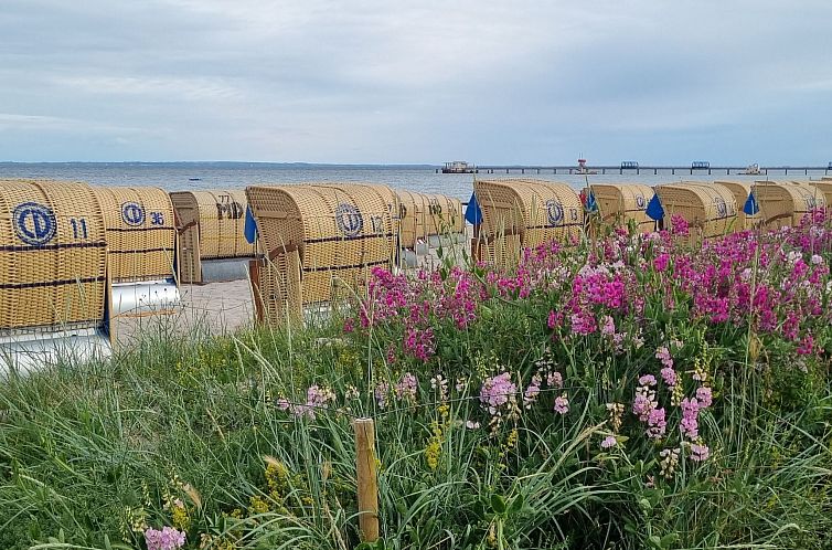 Appartement Appartement in Kellenhusen mit Großer Terrasse