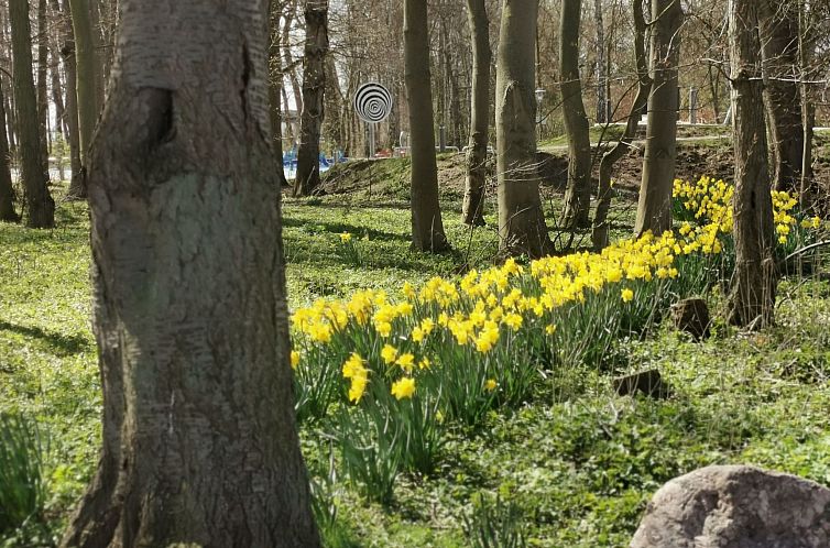 Appartement U2 Schlehenkoppel 5