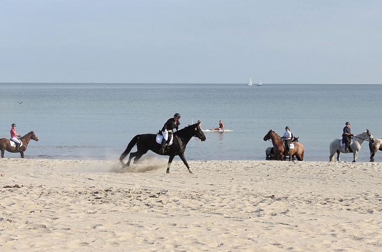 Appartement U2 Schlehenkoppel 5