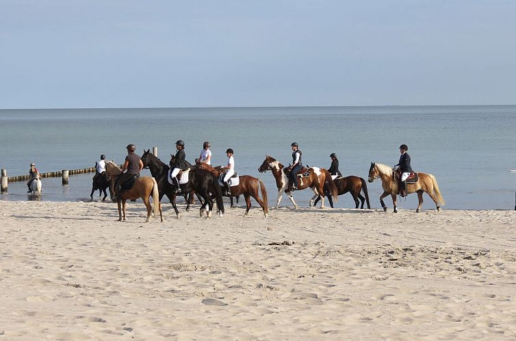 Appartement U2 Schlehenkoppel 5