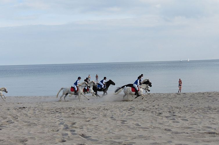 Appartement U2 Schlehenkoppel 5