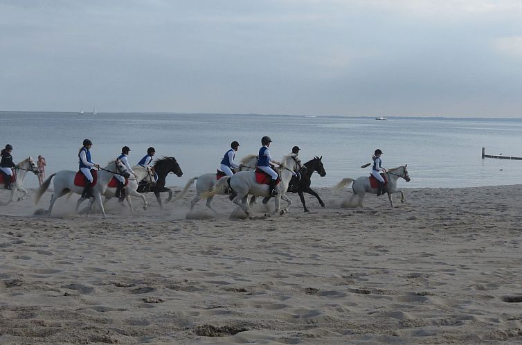 Appartement U2 Schlehenkoppel 5