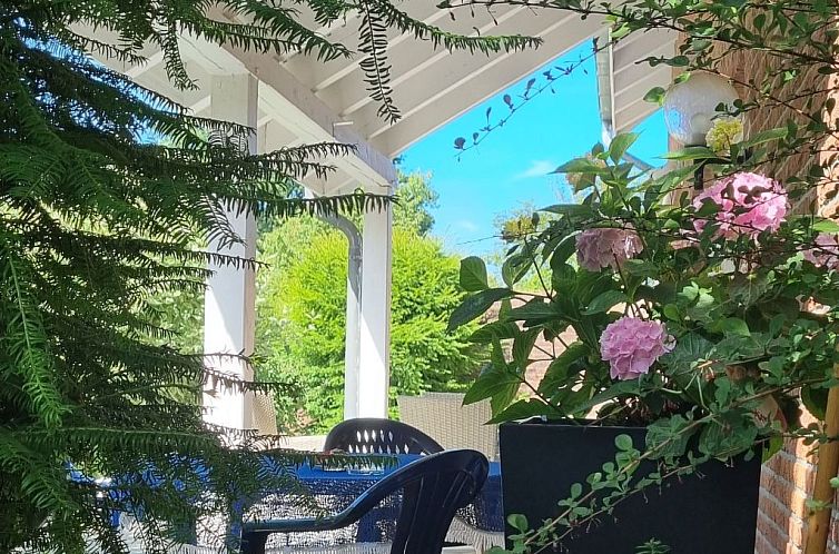 Appartement Erdgeschosswohnung im Haus "Silva Mare"