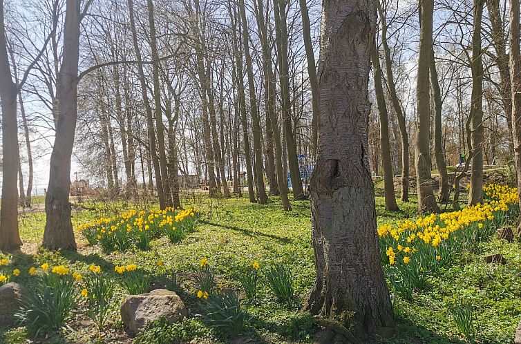 Appartement Erdgeschosswohnung im Haus "Silva Mare"