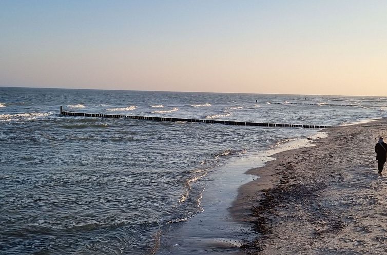 Appartement Erdgeschosswohnung im Haus "Silva Mare"