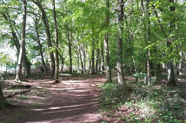 Vakantiehuis Retro Chalet Nr 3