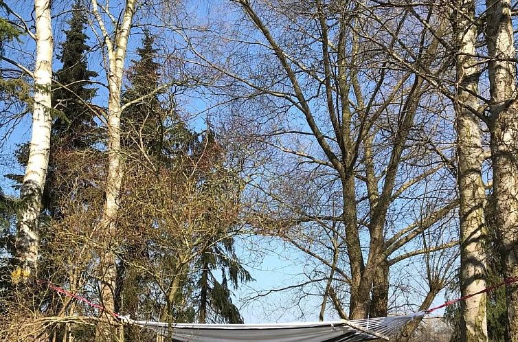 Appartement Fewo Waldblick