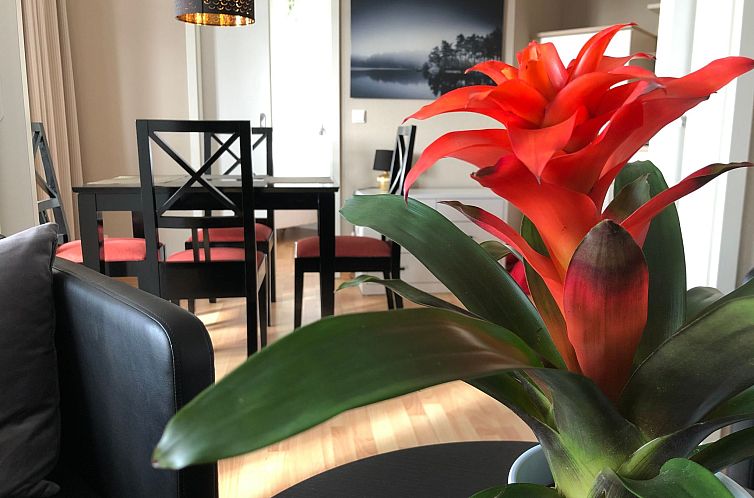 Unterkunft 0302541 - Appartement Ostsee - Appartement Dat Mitteltste 445