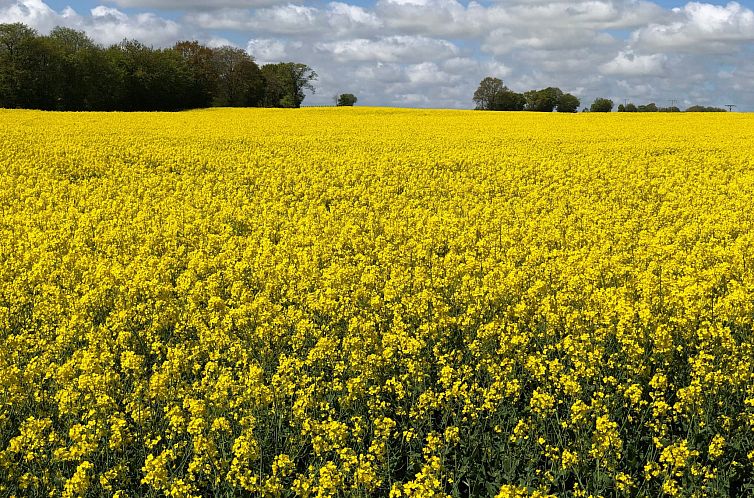 Appartement Dat Lütje 516