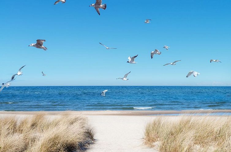 Appartement Dat Lütje 516