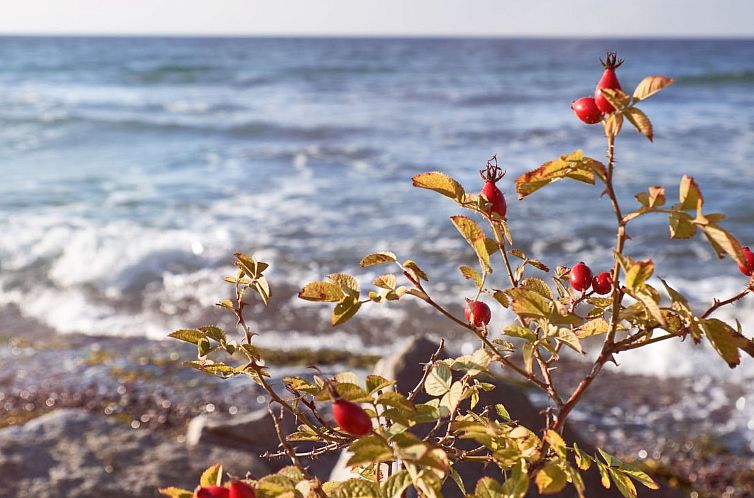 Appartement Dat Lütje 516